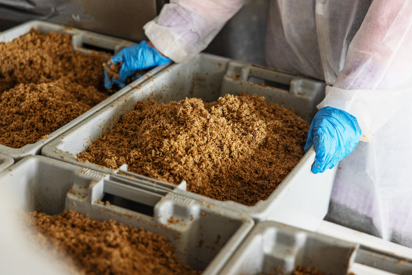 What is Brewer’s Spent Grain? A Quick Guide