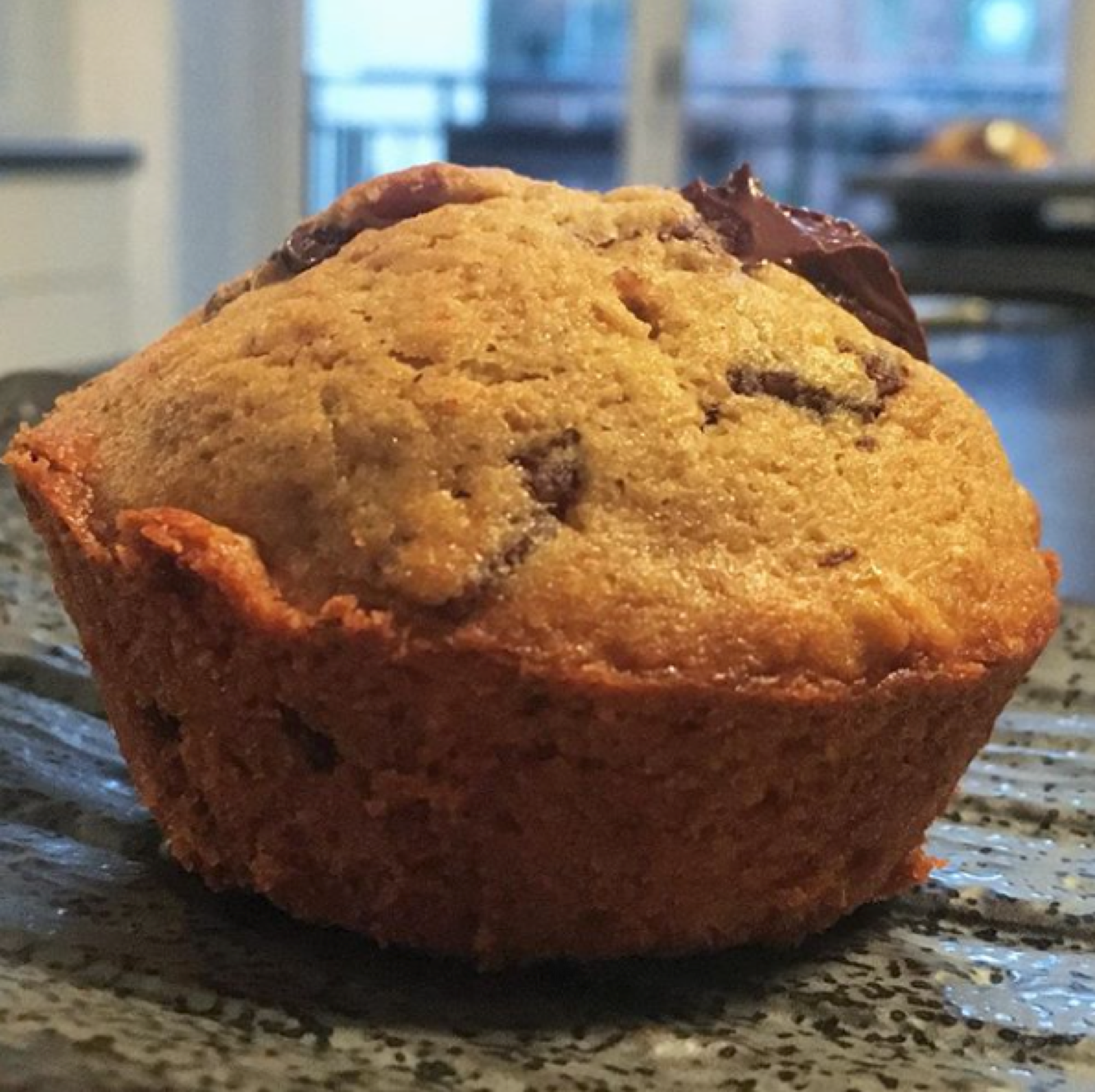 Banana Muffins with 01 Spent Grain Flour