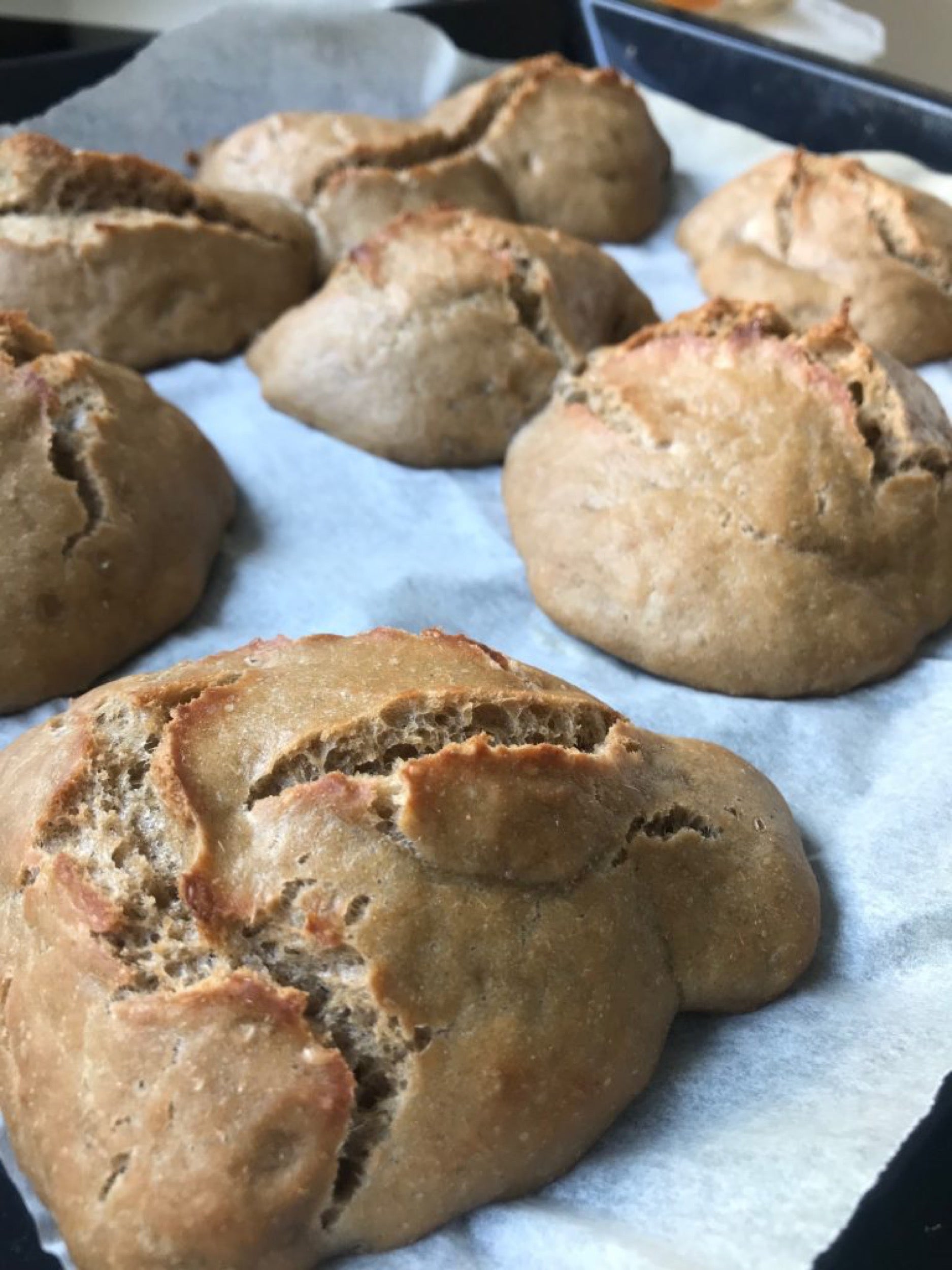 Breakfast Rolls with 01 Pilsner Spent Grain Flour | where to buy spent grain