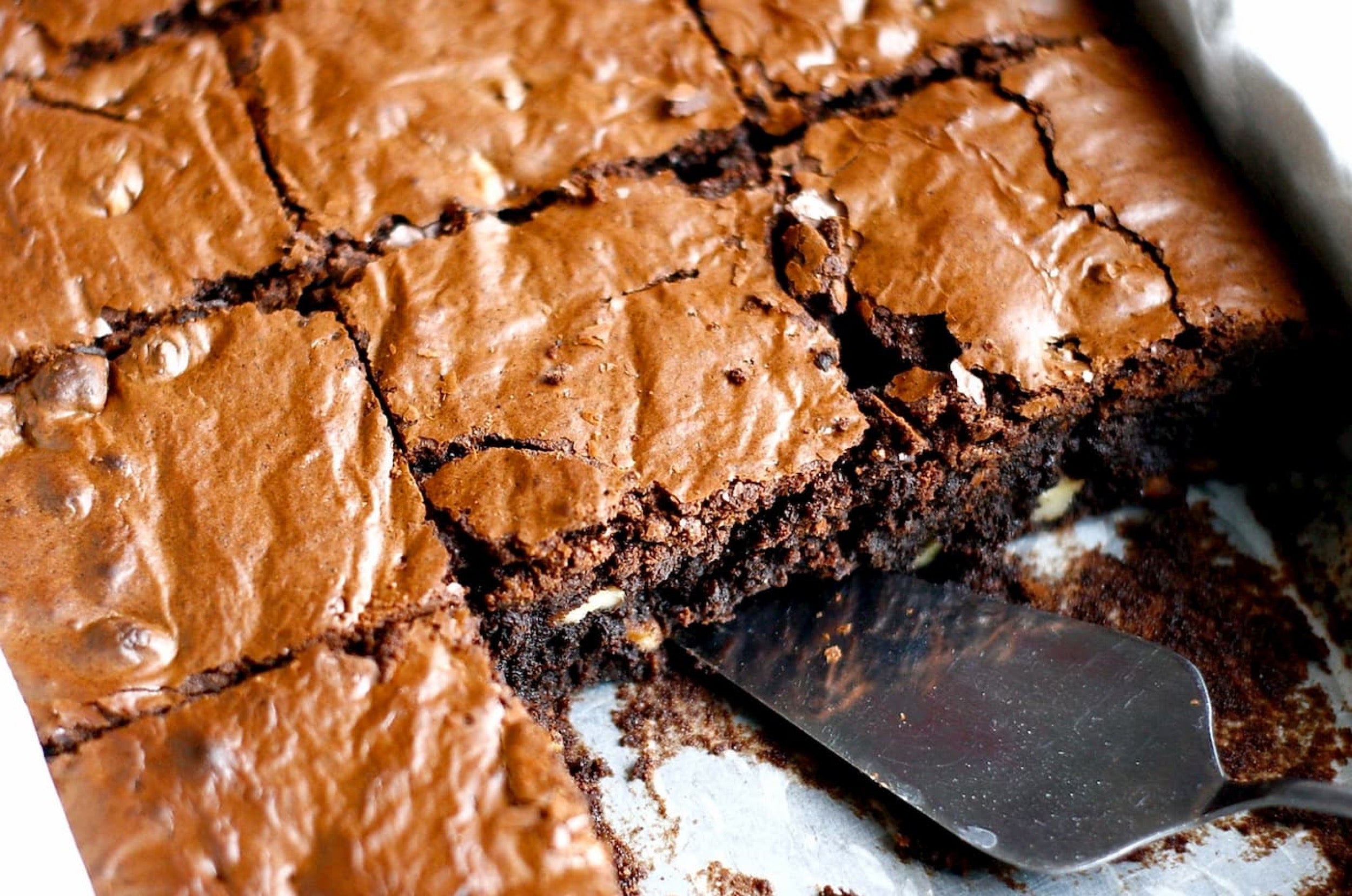 Chocolate brownie with 03 Stout Spent Grain Flour